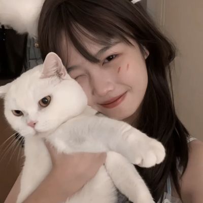 代码竞技场最新版下载